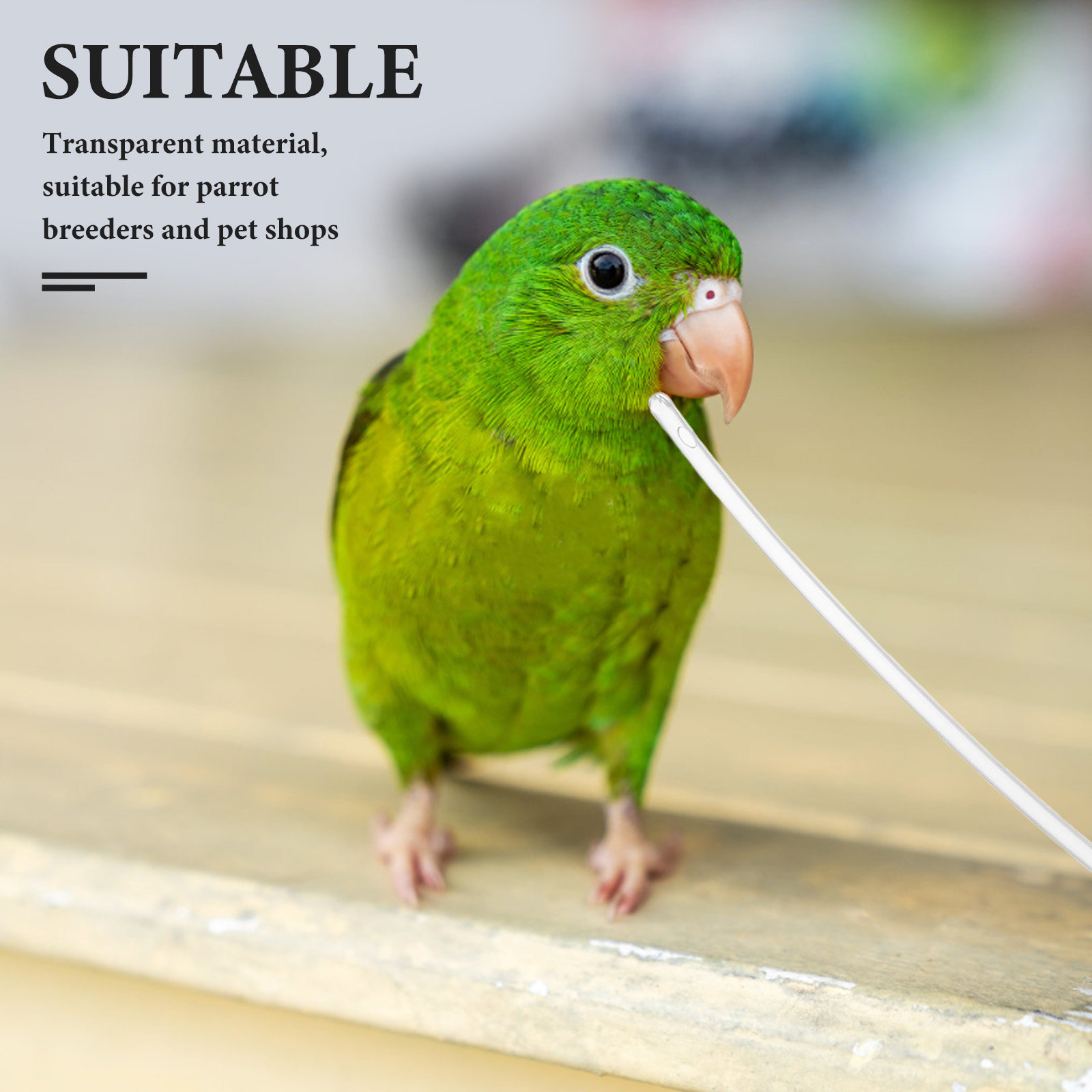 10Pcs Clear Soft Parrot Feeder - Baby Food Youtube review and price